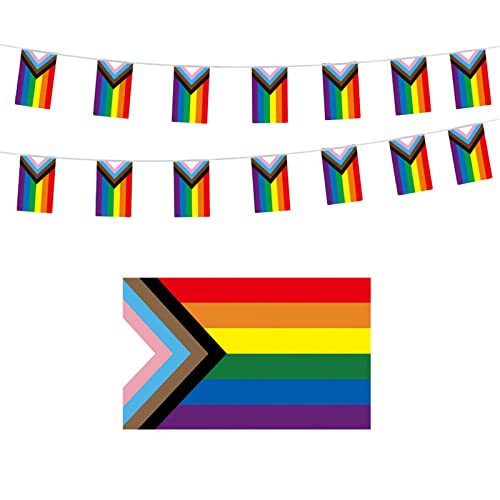 5m Pride Flag Bunting Banner, Pride Accessories Banner with 20 Rainbow Flags, Pride Decorations Gay Pride Buntings Rainbow Banner LGBT Festival Bunting, Pride Day Party Supplies